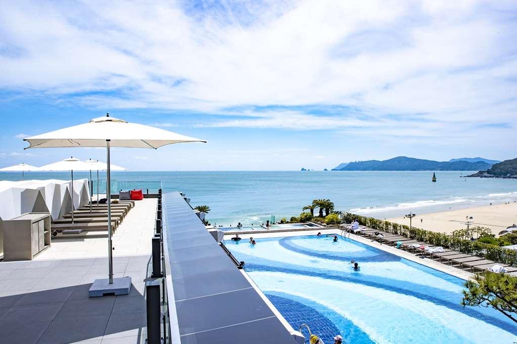Paradise Hotel Busan Konforlar fotoğraf